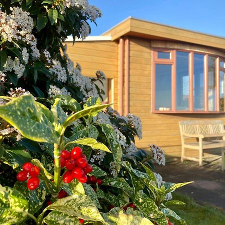 3 Pers. Holiday Home Sonnenschein With Fenced Garden And Infrared Sauna Anjum Kültér fotó